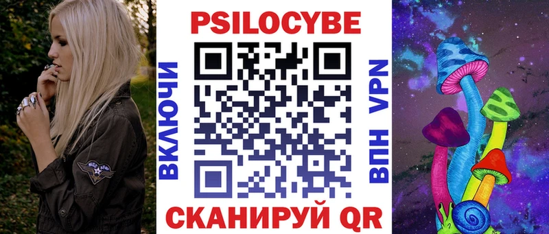 Купить где  Кизел  Галлюциногенные грибы Cubensis 